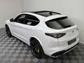 Alfa Romeo Stelvio Quadrifoglio Q4|AKRAPOVIC|PANO|Schale| Weiß - thumbnail 32
