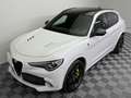 Alfa Romeo Stelvio Quadrifoglio Q4|AKRAPOVIC|PANO|Schale| Weiß - thumbnail 30