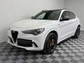 Alfa Romeo Stelvio Quadrifoglio Q4|AKRAPOVIC|PANO|Schale| Weiß - thumbnail 2