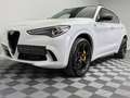 Alfa Romeo Stelvio Quadrifoglio Q4|AKRAPOVIC|PANO|Schale| Weiß - thumbnail 29