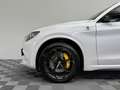 Alfa Romeo Stelvio Quadrifoglio Q4|AKRAPOVIC|PANO|Schale| Weiß - thumbnail 27