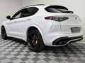 Alfa Romeo Stelvio Quadrifoglio Q4|AKRAPOVIC|PANO|Schale| Weiß - thumbnail 31