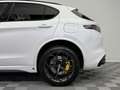 Alfa Romeo Stelvio Quadrifoglio Q4|AKRAPOVIC|PANO|Schale| Weiß - thumbnail 28