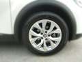 Renault Captur CAPTUR Intens TCe 90 Weiß - thumbnail 4
