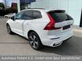 Volvo XC60 T6 AWD Recharge Plus Dark Weiß - thumbnail 7