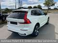 Volvo XC60 T6 AWD Recharge Plus Dark Weiß - thumbnail 5