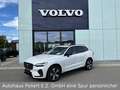 Volvo XC60 T6 AWD Recharge Plus Dark Weiß - thumbnail 1