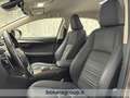 Lexus NX 300 h 2.5 Premium 4wd cvt Stříbrná - thumbnail 16