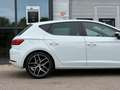 SEAT Leon 1.4 EcoTSI FR Business Intense, NAP, CARPLAY Weiß - thumbnail 16