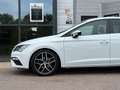 SEAT Leon 1.4 EcoTSI FR Business Intense, NAP, CARPLAY Weiß - thumbnail 12