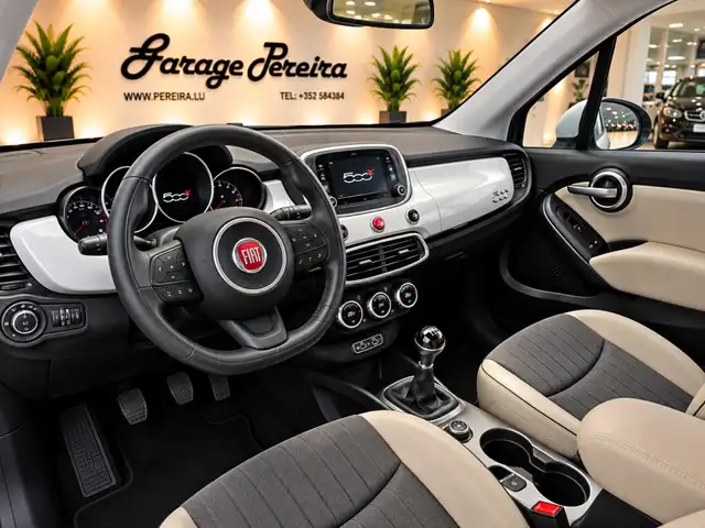 Fiat 500x view 6