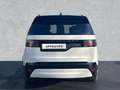 Land Rover Discovery Land Rover Discovery D350 AWD Dynamic SE / 7 SIt Weiß - thumbnail 7