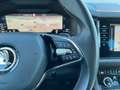 Skoda Kodiaq 2,0 TDI Style DSG| € 51.000 Grau - thumbnail 41