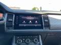 Skoda Kodiaq 2,0 TDI Style DSG| € 51.000 Grau - thumbnail 22