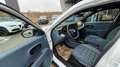 Fiat Grande Panda 1.2 T 100 La Prima Weiß - thumbnail 9
