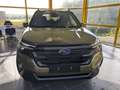 Subaru Forester Subaru Forester Luxury 8 J. GARANTIE! Grün - thumbnail 2