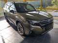 Subaru Forester Subaru Forester Luxury 8 J. GARANTIE! Vert - thumbnail 1
