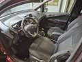 Ford B-Max B-Max 1.5 tdci Titanium 95cv Червоний - thumbnail 9