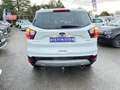 Ford Kuga 1.5 Flexifuel - 150  Euro Titanium + Roue de Secours + Hayon Elec + Clé Main Libre Blanc - thumbnail 34