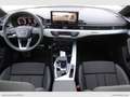 Audi A4 Avant 40 TDI quattro S tr. S line ed. Grigio - thumbnail 14