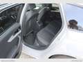 Audi A4 Avant 40 TDI quattro S tr. S line ed. Grigio - thumbnail 13