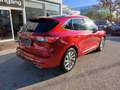 Ford Kuga 2,5 Duratec PHEV Vignale Aut. AHK ACC KAMERA Rouge - thumbnail 2