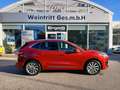 Ford Kuga 2,5 Duratec PHEV Vignale Aut. AHK ACC KAMERA Rouge - thumbnail 3