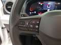 SEAT Arona 1.0 TSI S&S Reference XM 95 Blanco - thumbnail 10