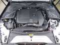 Mercedes-Benz C 300 C300 Autom. Leder Ambiente Sitzlüft. Pano ACC Schwarz - thumbnail 3