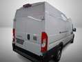 Fiat Ducato 2.2 Maxi L4H2*Cargo+*Visibility+*Worksite Weiß - thumbnail 3