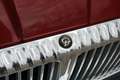 Daimler Double Six 6.0 V12 XJ81 Nederlandse auto Rot - thumbnail 34