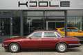 Daimler Double Six 6.0 V12 XJ81 Nederlandse auto Rot - thumbnail 1