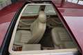 Daimler Double Six 6.0 V12 XJ81 Nederlandse auto Rot - thumbnail 18
