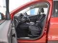 Ford Kuga Titanium 2.5l Plug-in-Hybrid PHEV Rojo - thumbnail 8