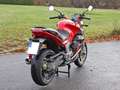 Moto Guzzi Breva 1100 Czerwony - thumbnail 7