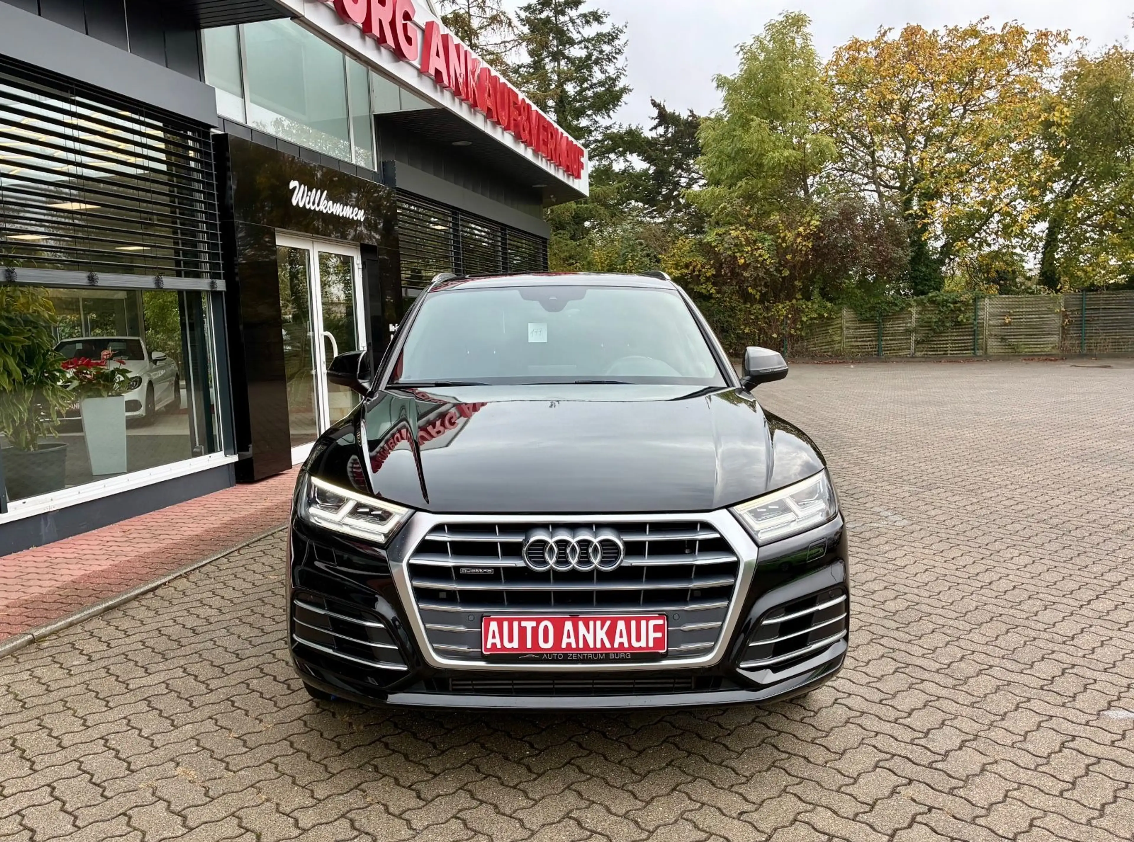 Audi Q5 quattro S-Line Automatik LED Kamera — photo 3