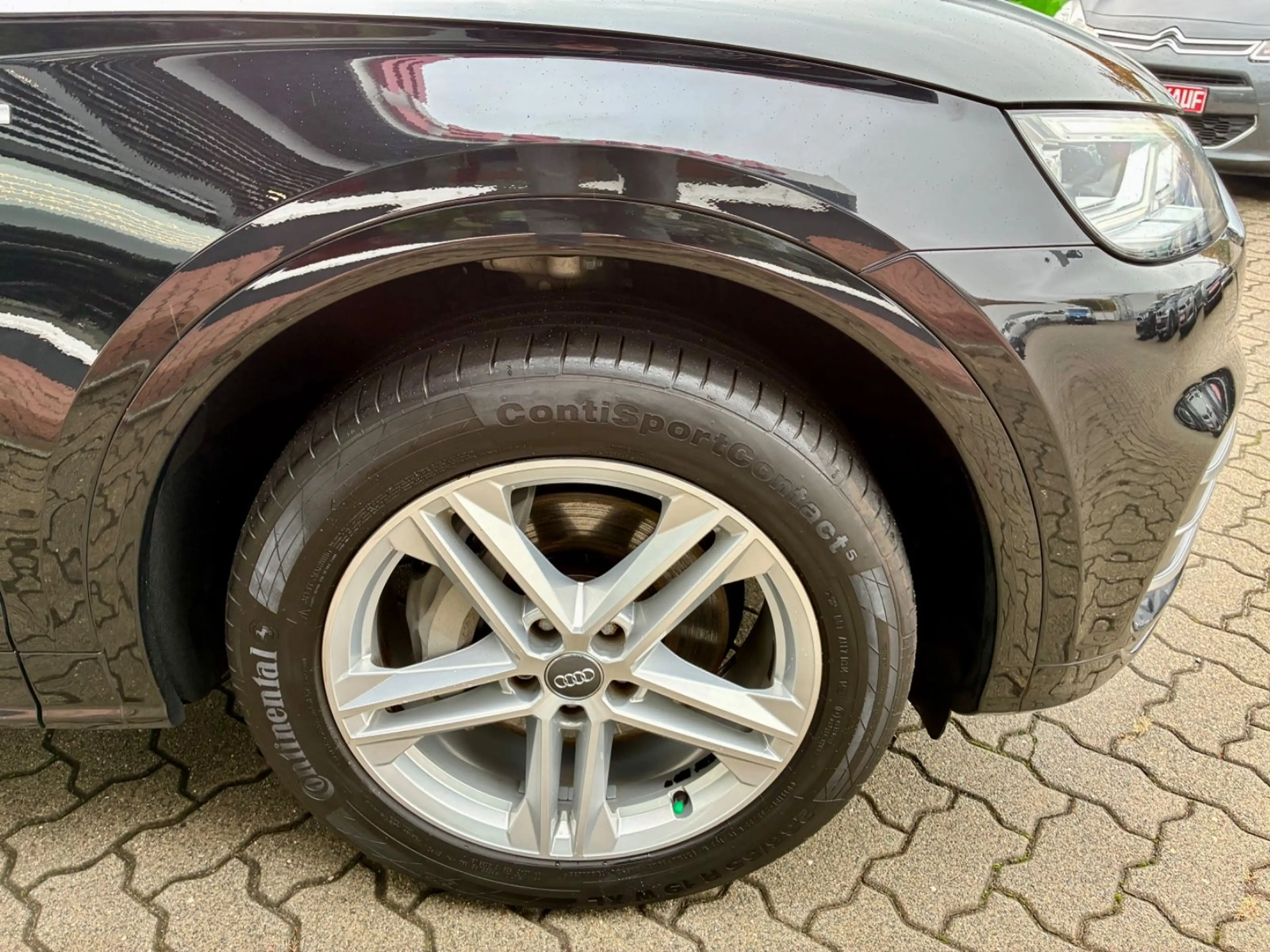 Audi Q5 quattro S-Line Automatik LED Kamera — photo 5