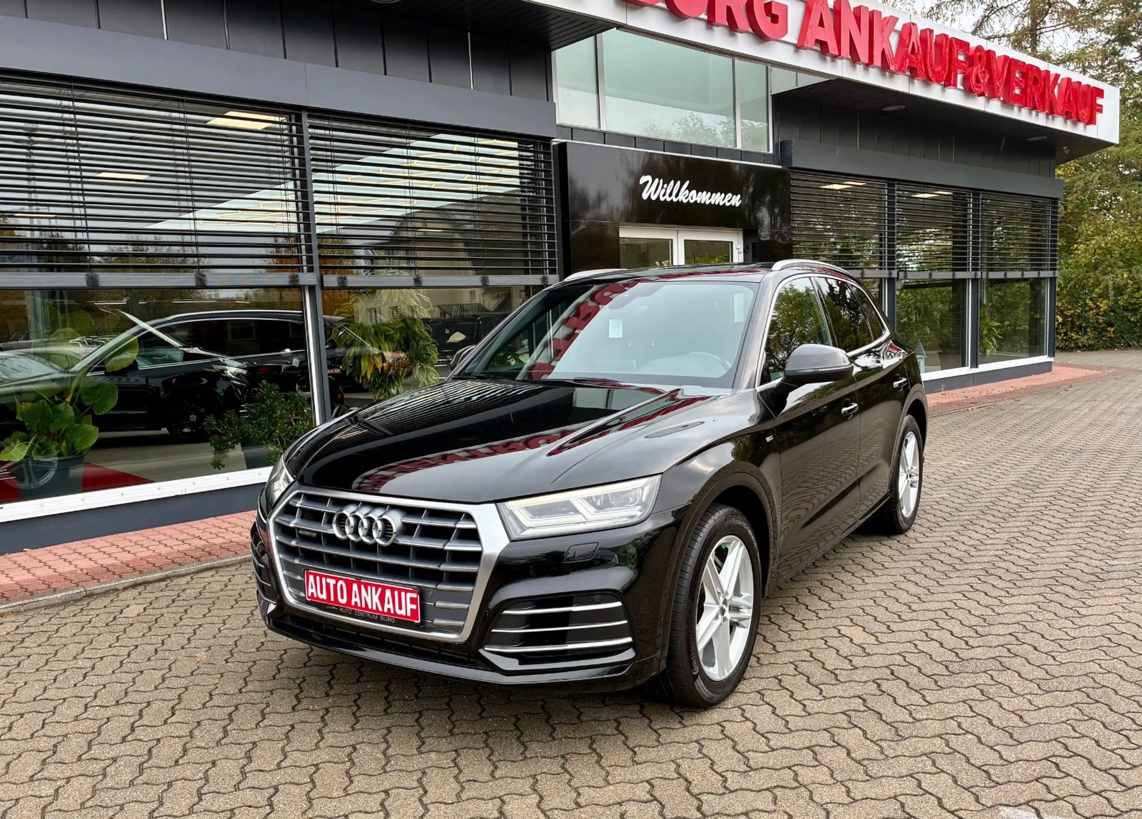 Audi Q5 quattro S-Line Automatik LED Kamera — photo 2
