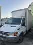 Iveco Daily - thumbnail 2