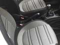 Fiat Punto Evo 5p 1.3 mjt Emotion s&s 95cv Bianco - thumbnail 6