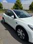 Tesla Model Y SR | 1. Hand | 02/2024 | 24.965 km | BYD-Akku Weiß - thumbnail 6
