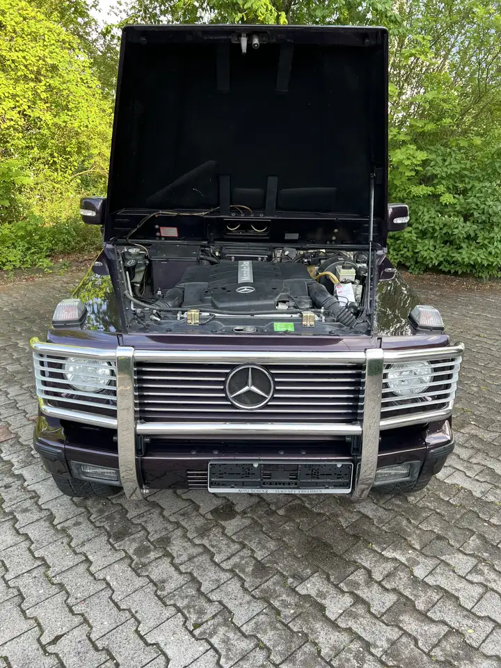 Mercedes-Benz G 500 Classic, foto 12