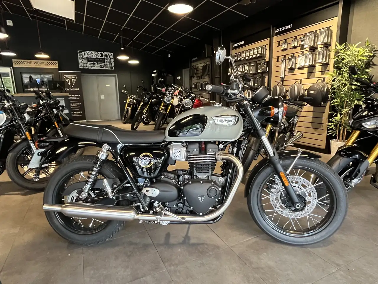Triumph Bonneville T100