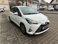 Toyota Yaris Yaris  5-Türer 1,5-Dual-VVT-iE Y20 Club Weiß - thumbnail 5