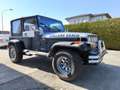 Jeep Wrangler 2.5 Schwarz - thumbnail 9