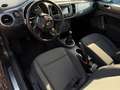 Volkswagen Beetle Design NAVI/PDC/SHZ Grau - thumbnail 11