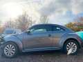 Volkswagen Beetle Design NAVI/PDC/SHZ Grau - thumbnail 10