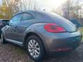 Volkswagen Beetle Design NAVI/PDC/SHZ Grau - thumbnail 7