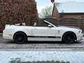 Ford Mustang 3.7 Cabrio/Facelift/PDC/Sitzheizung Weiß - thumbnail 4
