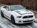 Ford Mustang 3.7 Cabrio/Facelift/PDC/Sitzheizung Blanc - thumbnail 11